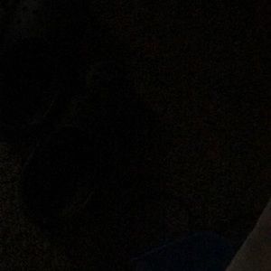 Meet your Posher, Sofia